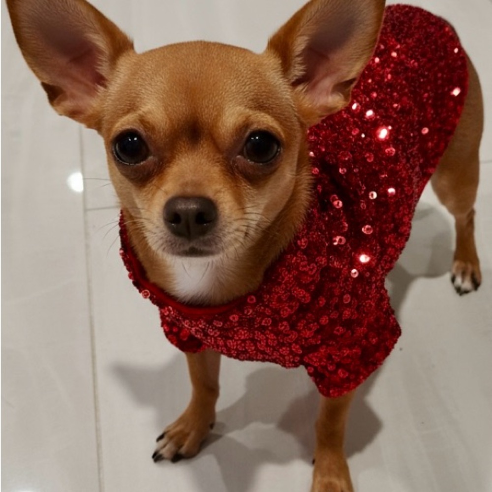 Glamorous Red Sequin Dog Sweater